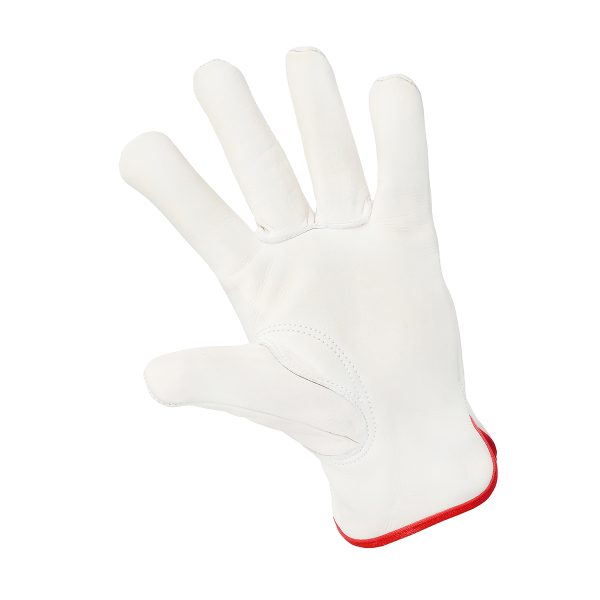 Driver Glove - PG1240 - Image 4